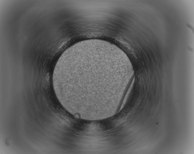 X0000091000308200708301340