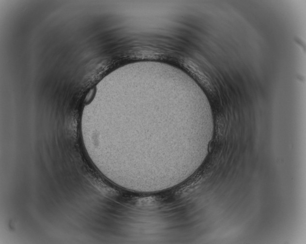 X0000091000309200708301340