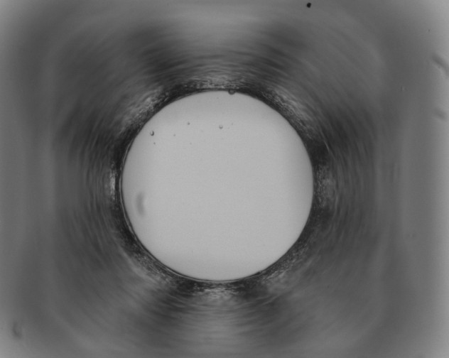 X0000091000310200708301340