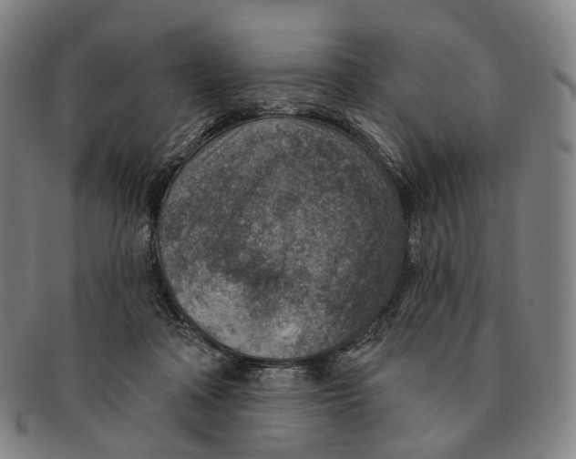 X0000091000314200708301340