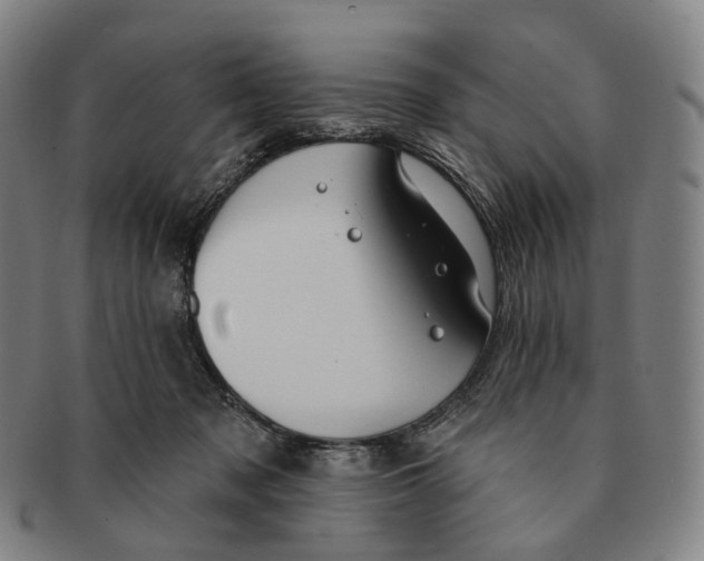 X0000091000317200708301340