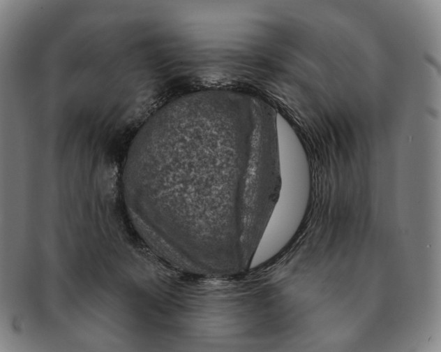 X0000091000319200708301340