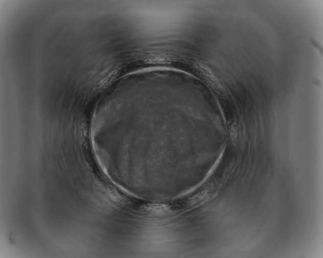 X0000091000322200708301340