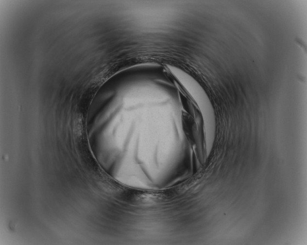 X0000091000323200708301340