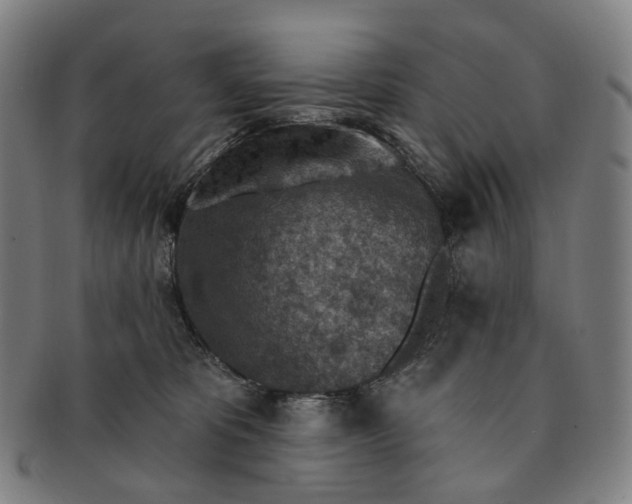 X0000091000325200708301340