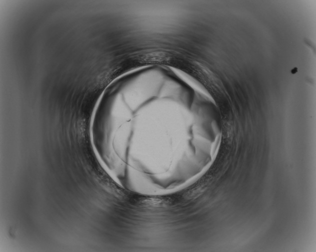 X0000091000326200708301340
