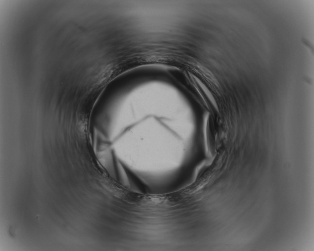 X0000091000329200708301340
