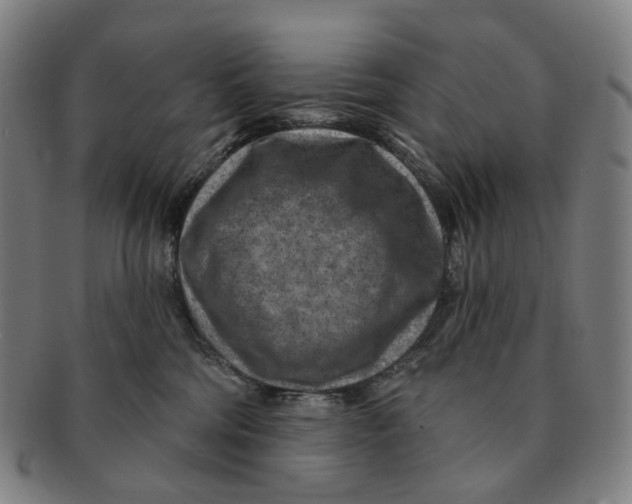 X0000091000330200708301340