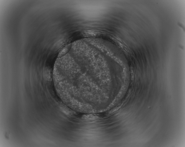 X0000091000331200708301340