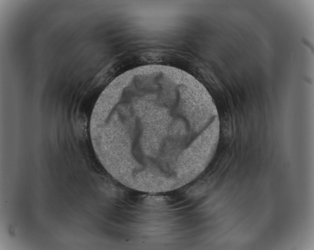 X0000091000332200708301340