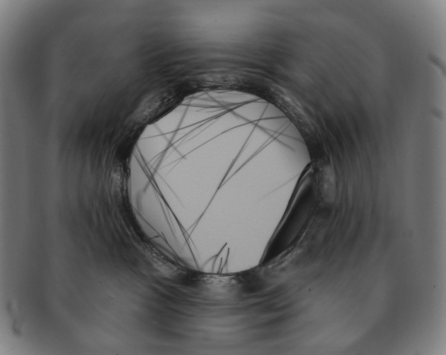 X0000091000333200708301340