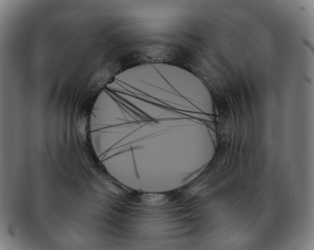 X0000091000334200708301340
