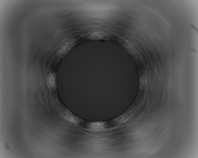 X0000091000335200708301340