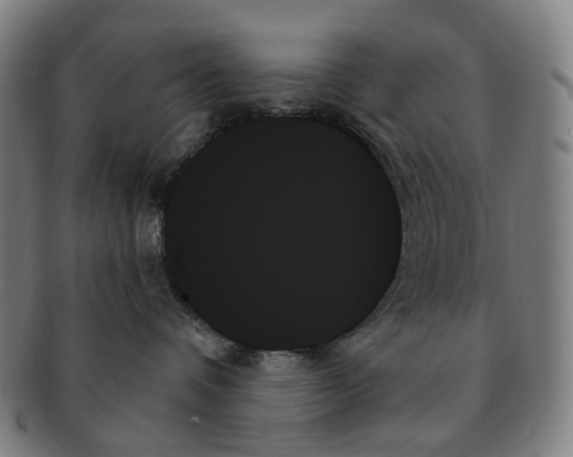 X0000091000336200708301340