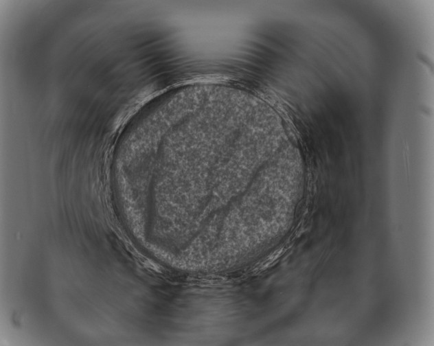 X0000091000337200708301339