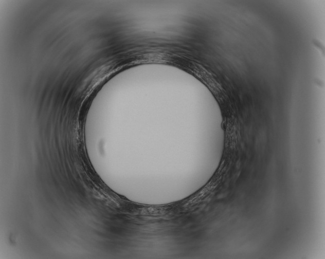 X0000091000338200708301339