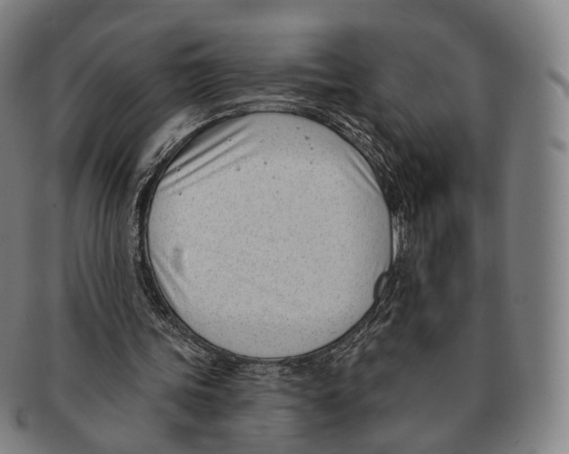 X0000091000339200708301339