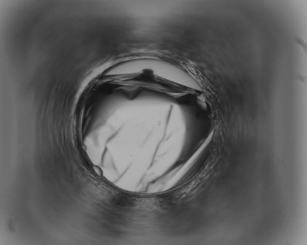 X0000091000342200708301339