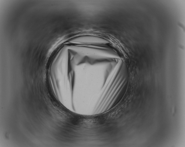 X0000091000344200708301339