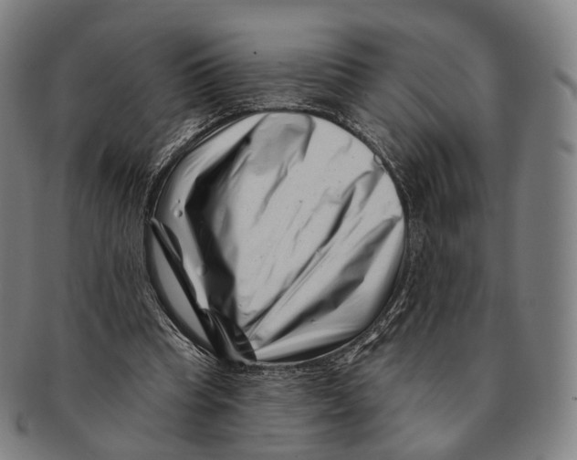 X0000091000345200708301339