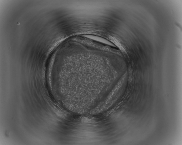 X0000091000346200708301339