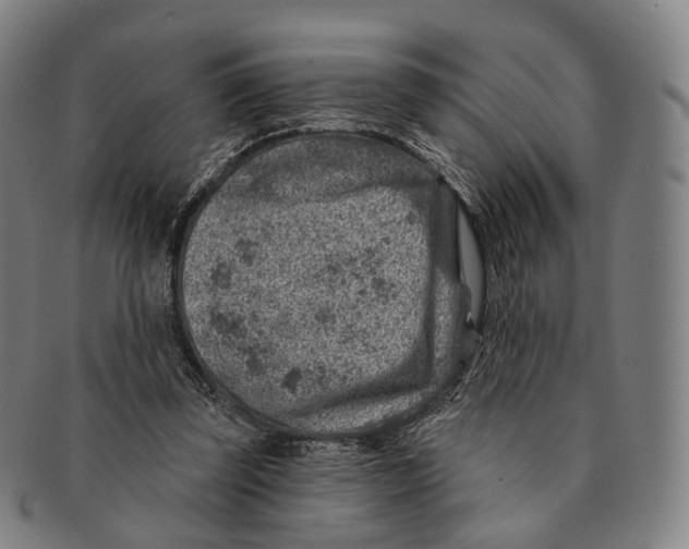 X0000091000347200708301339