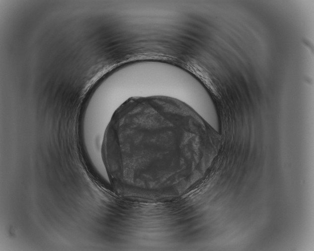 X0000091000348200708301339