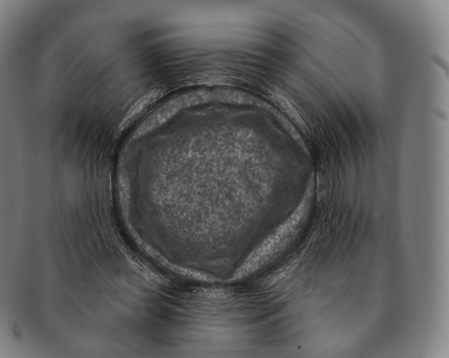 X0000091000349200708301339
