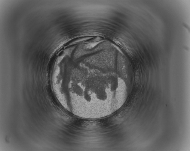 X0000091000351200708301340