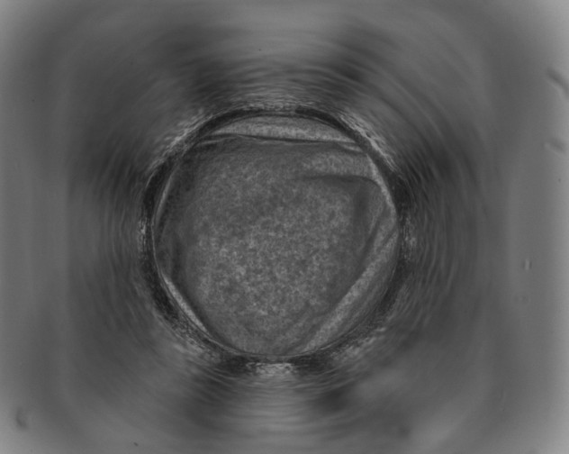X0000091000355200708301340