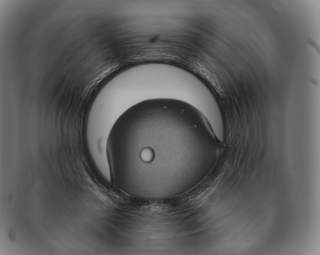 X0000091000356200708301340