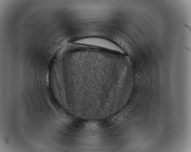 X0000091000358200708301340