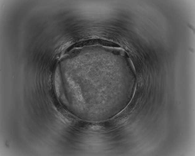 X0000091000360200708301340