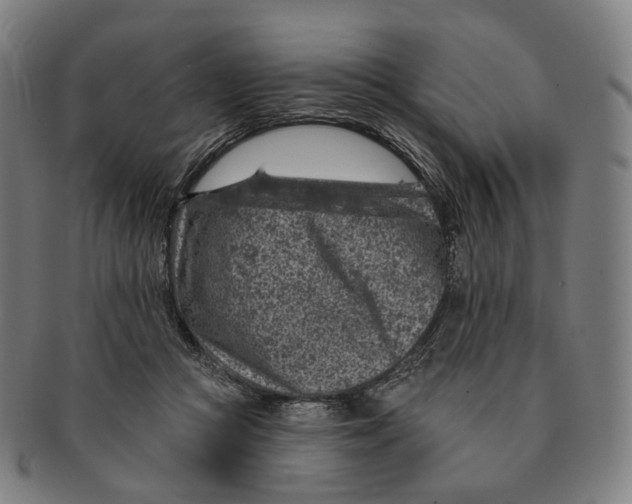 X0000091000361200708301340