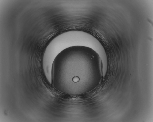 X0000091000364200708301340