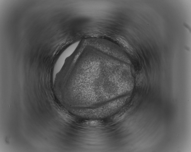 X0000091000365200708301340