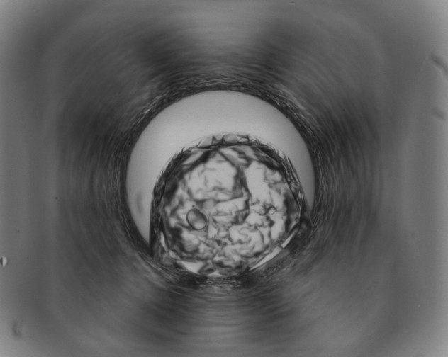 X0000091000368200708301340