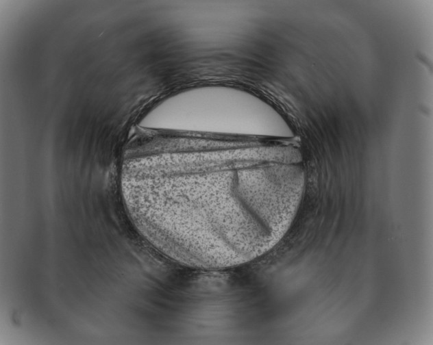X0000091000369200708301340