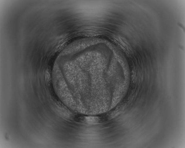 X0000091000371200708301340