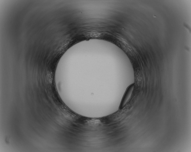 X0000091000374200708301340