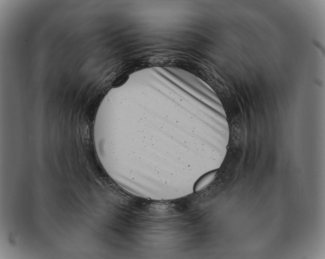 X0000091000375200708301340