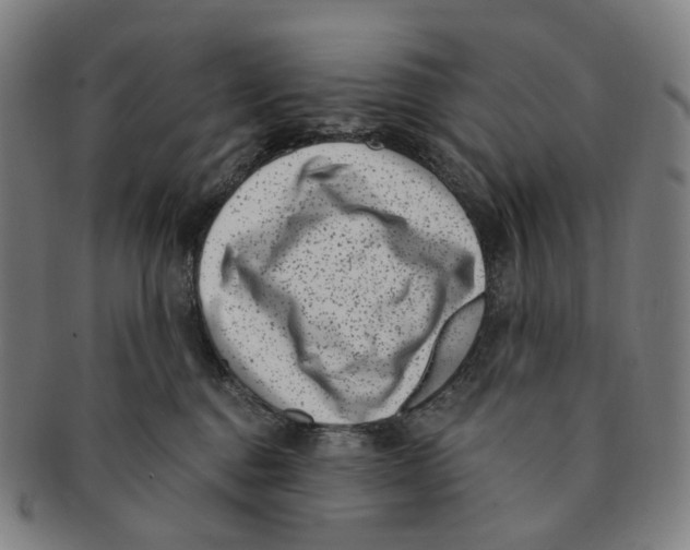 X0000091000376200708301340