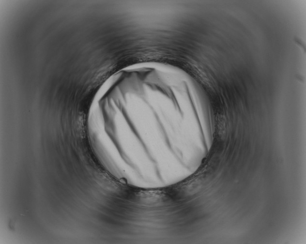 X0000091000378200708301340