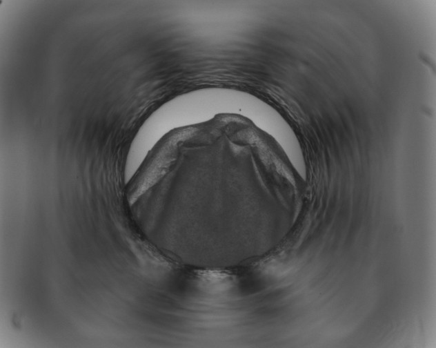 X0000091000380200708301340