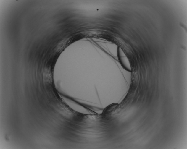 X0000091000381200708301340