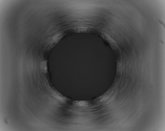 X0000091000383200708301340