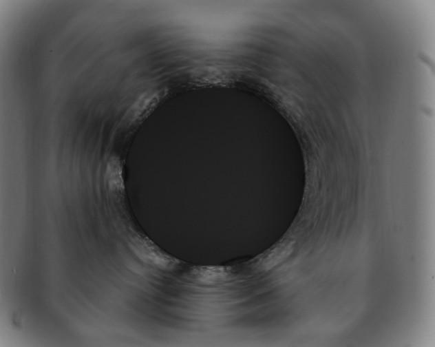 X0000091000384200708301340