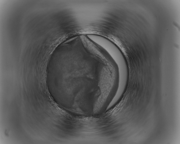 X0000091000385200708301339