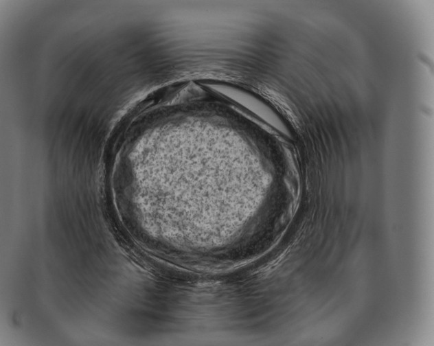 X0000091000388200708301339