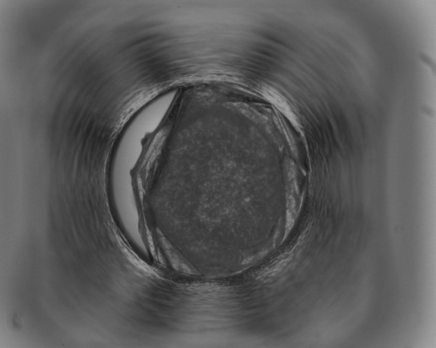 X0000091000389200708301339